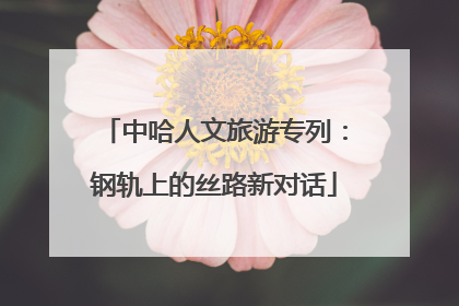 中哈人文旅游专列：钢轨上的丝路新对话
