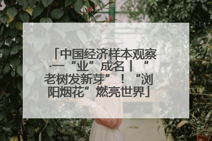 中国经济样本观察·一“业”成名丨“老树发新芽”！“浏阳烟花”燃亮世界