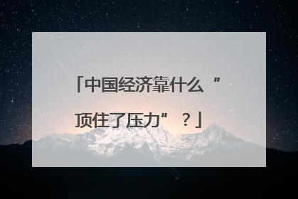 中国经济靠什么“顶住了压力”？