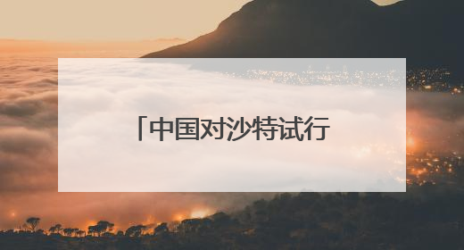 中国对沙特试行免签，来自沙特的他第一次来沪就感受到便利