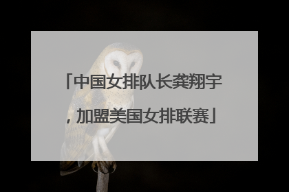 中国女排队长龚翔宇，加盟美国女排联赛