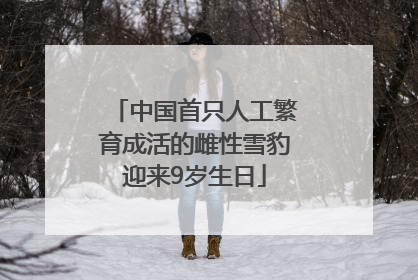 中国首只人工繁育成活的雌性雪豹迎来9岁生日