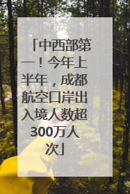 中西部第一！今年上半年，成都航空口岸出入境人数超300万人次