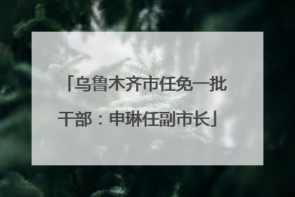 乌鲁木齐市任免一批干部：申琳任副市长