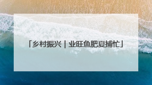 乡村振兴｜业旺鱼肥夏捕忙