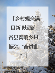 乡村蝶变满目新 陕西府谷县奏响乡村振兴“奋进曲”