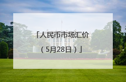 人民币市场汇价（5月28日）