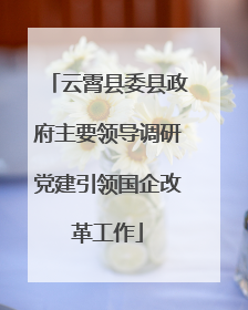 云霄县委县政府主要领导调研党建引领国企改革工作