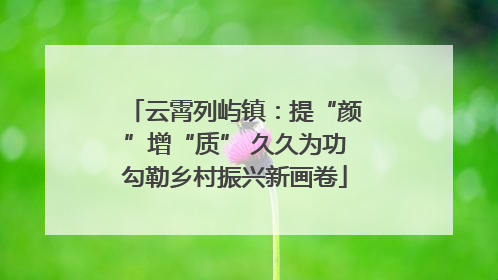 云霄列屿镇：提“颜”增“质” 久久为功勾勒乡村振兴新画卷