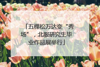 五棵松万达变“秀场”，北服研究生毕业作品展举行