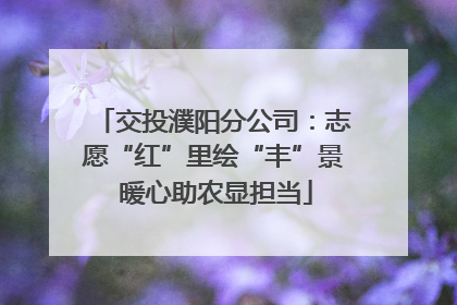 交投濮阳分公司：志愿“红”里绘“丰”景 暖心助农显担当