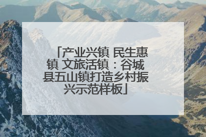 产业兴镇 民生惠镇 文旅活镇：谷城县五山镇打造乡村振兴示范样板