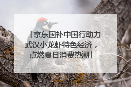 京东国补中国行助力武汉小龙虾特色经济，点燃夏日消费热潮