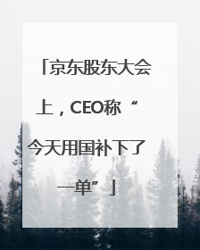 京东股东大会上，CEO称“今天用国补下了一单”