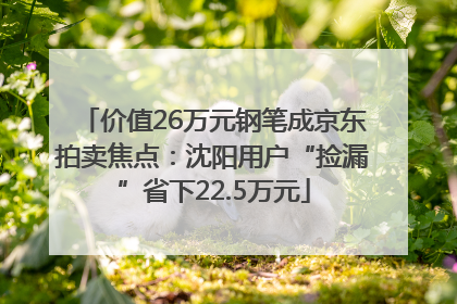 价值26万元钢笔成京东拍卖焦点：沈阳用户“捡漏”省下22.5万元