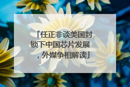 任正非谈美国封锁下中国芯片发展，外媒争相解读