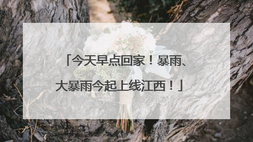 今天早点回家！暴雨、大暴雨今起上线江西！