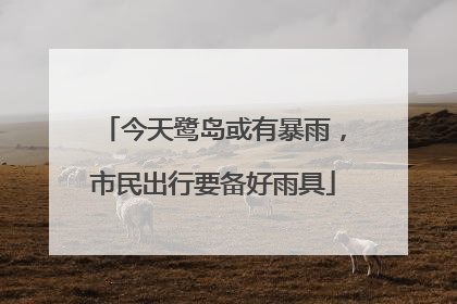 今天鹭岛或有暴雨，市民出行要备好雨具