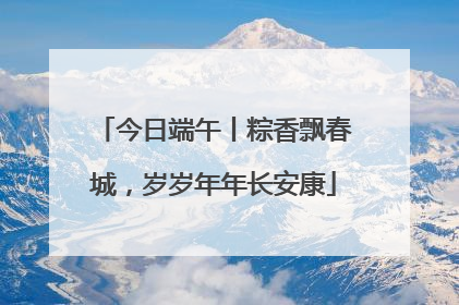今日端午丨粽香飘春城，岁岁年年长安康