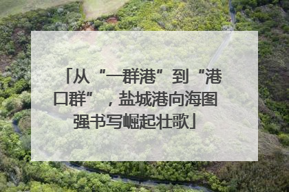 从“一群港”到“港口群”，盐城港向海图强书写崛起壮歌