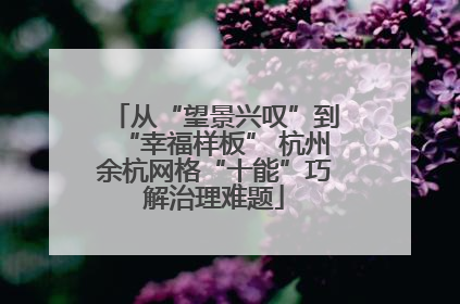 从“望景兴叹”到“幸福样板” 杭州余杭网格“十能”巧解治理难题