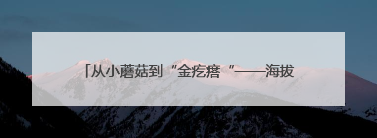 从小蘑菇到“金疙瘩“——海拔4500米的““菇“事新传