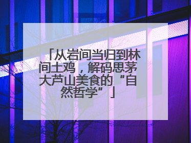 从岩间当归到林间土鸡，解码思茅大芦山美食的“自然哲学”