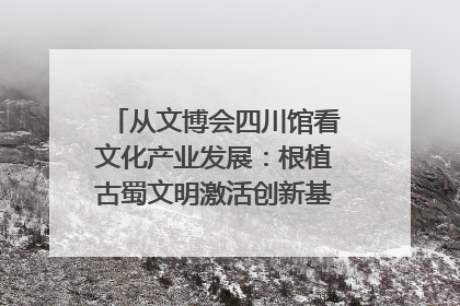 从文博会四川馆看文化产业发展：根植古蜀文明激活创新基因｜文博向“新”