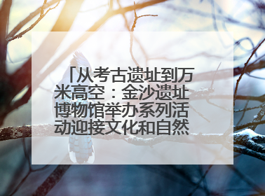从考古遗址到万米高空：金沙遗址博物馆举办系列活动迎接文化和自然遗产日