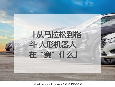 从马拉松到格斗 人形机器人在“赛”什么