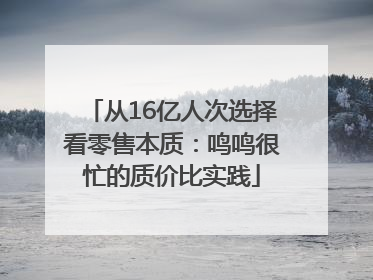 从16亿人次选择看零售本质：鸣鸣很忙的质价比实践