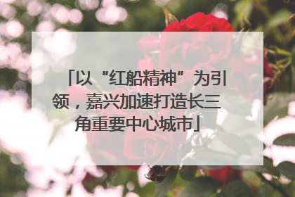 以“红船精神”为引领，嘉兴加速打造长三角重要中心城市