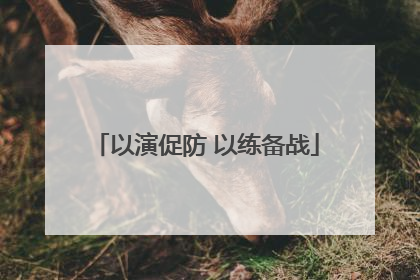 以演促防 以练备战