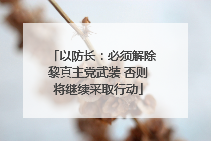 以防长：必须解除黎真主党武装 否则将继续采取行动