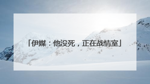 伊媒：他没死，正在战情室
