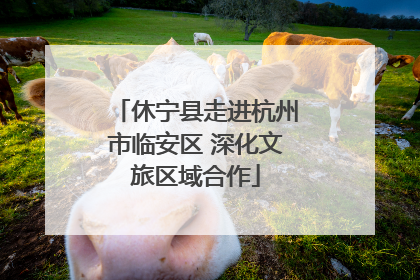 休宁县走进杭州市临安区 深化文旅区域合作