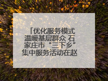 优化服务模式 温暖基层群众 石家庄市“三下乡”集中服务活动在赵县举行