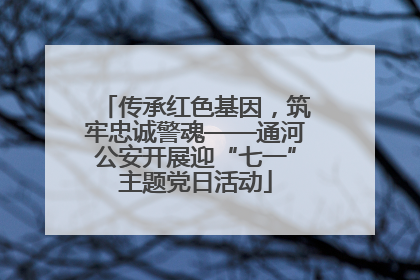 传承红色基因，筑牢忠诚警魂——通河公安开展迎“七一”主题党日活动