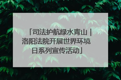 司法护航绿水青山｜洛阳法院开展世界环境日系列宣传活动