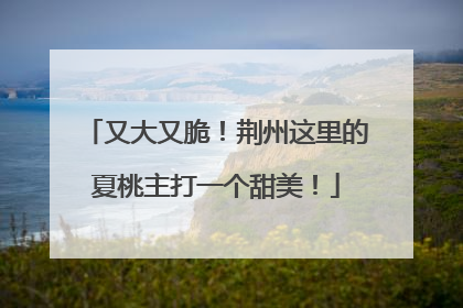 又大又脆！荆州这里的夏桃主打一个甜美！