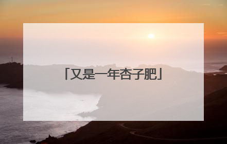 又是一年杏子肥