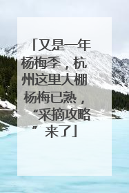 又是一年杨梅季，杭州这里大棚杨梅已熟，“采摘攻略”来了