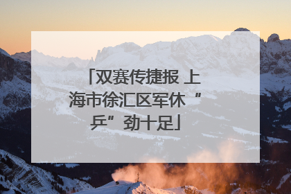 双赛传捷报 上海市徐汇区军休“乒”劲十足