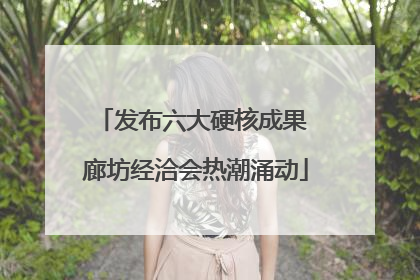 发布六大硬核成果 廊坊经洽会热潮涌动