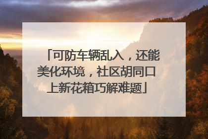 可防车辆乱入，还能美化环境，社区胡同口上新花箱巧解难题