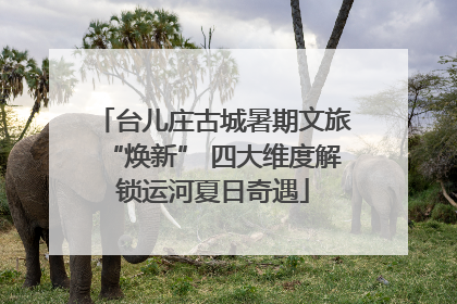台儿庄古城暑期文旅“焕新” 四大维度解锁运河夏日奇遇