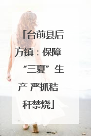 台前县后方镇：保障“三夏”生产 严抓秸秆禁烧