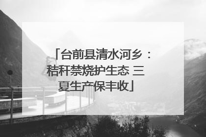 台前县清水河乡：秸秆禁烧护生态 三夏生产保丰收