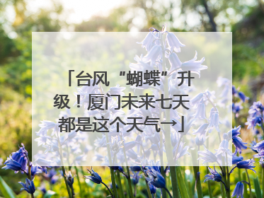 台风“蝴蝶”升级！厦门未来七天都是这个天气→