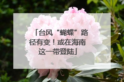 台风“蝴蝶”路径有变！或在海南这一带登陆